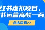 小红书虚拟项目，小红书运营高频一百问【文档】