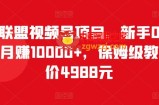 微信视频号项目：新手0基础轻松月赚1万+，保姆级教程（原价4988元）
