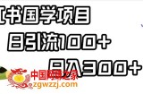 小红书国学项目，轻松引流100+，日入300+【揭秘】