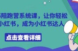 小红书陪跑营系统课，让你轻松入门小红书，成为小红书达人