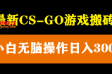 最新csgo游戏搬砖游戏，无需挂机小白无脑也能日入300+