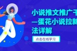 小说推文推广干货—蛋花小说拉新玩法详解