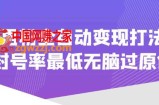 价值1980的男粉全自动变现打法，封号率最低无脑过原创