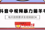 抖音中视频暴力薅羊毛白嫖项目：新号每天20块，老号几天几百块，可多号