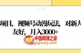 蓝海项目，视频号动漫玩法，对新人友好，月入3000+【揭秘】