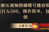 靠解压视频撸蝴蝶号播放收益，轻松日入500，操作简单，包过原创【揭秘】