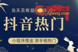 抖音最新小程序撸金，测手相上热门，当天见收益一小时变现300+【揭秘】