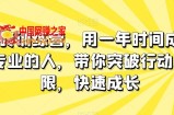板砖训练营，用一年时间成为专业的人，带你突破行动局限，快速成长