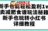 新手也能轻松盈利1w，卖减肥食谱玩法秘籍，新手也玩转小红书详细教程【揭秘】