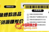 闲鱼无货源赚差价进阶玩法，爆款选品，资源寻找，引流变现全套教程（11节课）【揭秘】