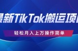 史上最牛简易，运送TikTok厉史，去重复后轻轻松松月赚万余元