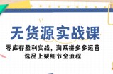 无货源实战课：零库存盈利实战，淘系拼多多运营，选品上架细节全流程