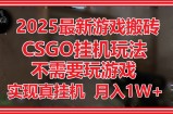 2025最新游戏搬砖，CSGO挂机，不需要玩游戏，实现真挂机，月入1W+