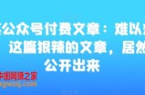 某公众号付费文章：难以想象，这篇狠辣的文章，居然能公开出来