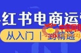 小红书电商运营课，从入门到精通，带你抓住又一个赚钱风口