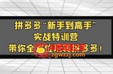 拼多多“新手到高手”实战特训营：带你全方位玩转拼多多！
