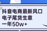 抖音电商最新风口，利用信息差做电子尾货生意，一年50w+【视频教程】
