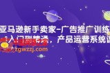 亚马逊新手卖家-广告推广训练营：0-1入门到精通，产品运营系统课！