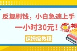 （7751期）反复刷钱，小白急速上手，一个小时30元，实操教程。