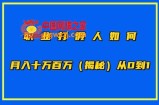 职业打假人如何月入10万百万，从0到1【仅揭秘】