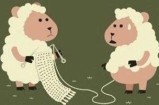 玩薅羊毛能赚多少钱？靠撸羊毛年入百万级别的大有人在