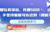 益智玩具项目，月赚5000＋，小白新手坚持做就可以达到【揭秘】