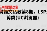 小说推文私教第8期，LSP混剪类(UC浏览器)