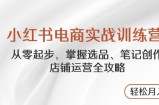 小红书电商实战训练营，从零起步，掌握选品、笔记创作、店铺运营全攻略