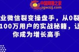 企业微信裂变操盘手，从0裂变100万用户的实战秘籍，让你成为增长高手