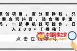 原创项目，百分百挣钱，只要会玩抖音，适合新手宝妈，一部手机就可操作，日入200+【揭秘】