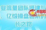 企业流量团队搭建与管理，亿级操盘团队的成长之路