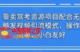 靠卖驾考资源项目配合无脑发视频引流模式，操作简单，小白友好【揭秘】