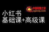 小红书基础课+高级课-小红书运营教程