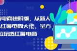 小红书电商进阶版，从新人进阶小红薯电商大佬，全方位玩透红薯电商