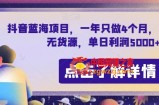 抖音蓝海项目，一年只做4个月，空手套，无货源，单日利润5000+【揭秘】