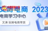 文涛电商·7天零基础自然流起号，​快速掌握店铺运营的核心玩法，突破自然展现量，玩转直播带货