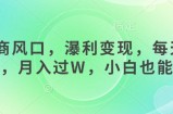 女杏商风口，瀑利变现，每天1小时，月入过W，小白也能做