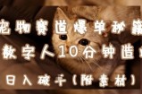 宠物赛道爆单秘籍：AI+数字人10分钟造爆款，日入1k