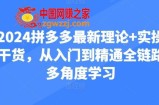 2024拼多多最新理论+实操干货，从入门到精通全链路多角度学习