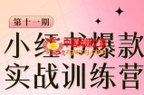 小红书博主爆款训练营第11期，手把手教你从0-1做小红书，从定位到起号到变现