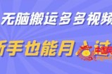 无脑搬运多多视频，新手也能月入过万【揭秘】