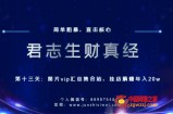 君志生财真经第13关：图片vip汇总集合站，挂店躺赚年入20w