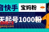 抖音快手三天起号涨粉1000宝妈粉丝的核心方法【详细玩法教程】