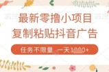 最新零撸小项目，复制粘贴抖音广告即可挣钱，平台大水，任务不限量，一天数张【揭秘】