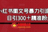 小红书图文号暴力引流4.0，日引300＋精准粉丝【揭秘】