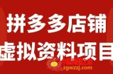 （7667期）拼多多商家虚拟资源项目，教科书式实际操作游戏玩法，轻轻松松月入1000