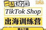 TikTokShop出海训练营（第十三期），打开全球流量新思维，出海抢占全球新流量，一店卖全球