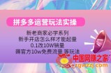 拼多多运营玩法实操，0.1改10W销量，薅官方10w免费流量 等玩法！