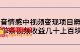 副业孵化营第5期：抖音情感中视频变现项目孵化 单条视频收益几十上百