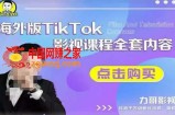 海外TikTok影视课程全套，从搭建渠道，到如何正确使用账号，到未来的变现渠道等